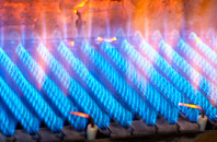 Bleadon gas fired boilers
